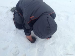 IMG_5542.JPG