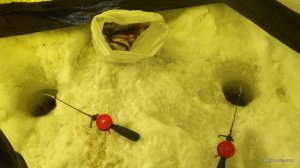 IMG_20170216_133208.jpg