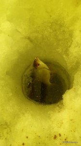 IMG_20170216_135823.jpg