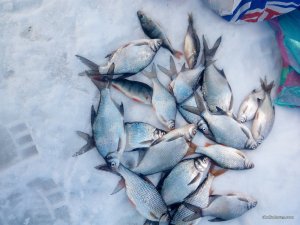 IMG_20170216_150107.jpg