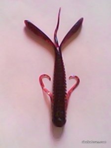 11IMG0033A.jpg