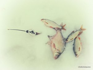 IMG_1853.JPG