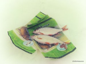 IMG_1854.JPG
