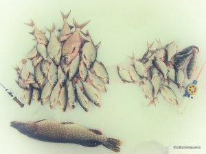 IMG_1859.JPG
