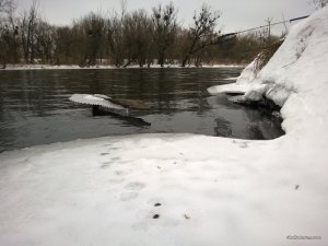 WP_20170218_10_53_39_Pro.jpg