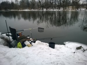 WP_20170218_06_45_59_Pro.jpg