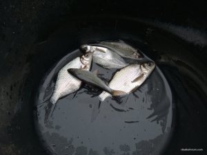 WP_20170218_15_27_27_Pro.jpg