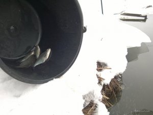 WP_20170218_15_28_32_Pro.jpg