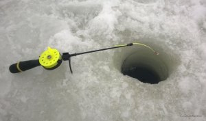 WP_20170218_012.jpg