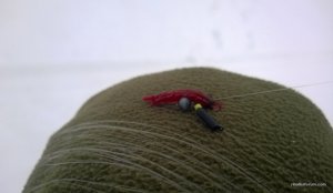WP_20170218_015.jpg