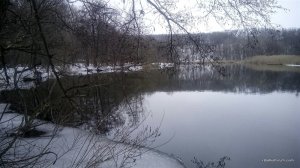IMG_20170219_110137.jpg