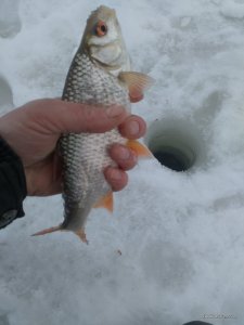 IMG_20170218_144659.jpg