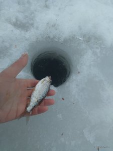 IMG_20170218_151941.jpg