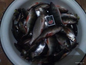 IMG_20170219_185846.jpg