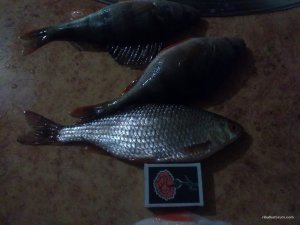 IMG_20170219_185344.jpg