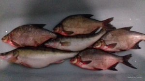 20170219_212154.jpg