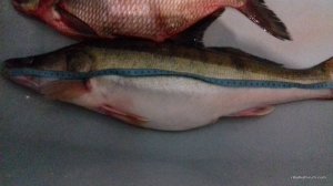 20170219_212543.jpg