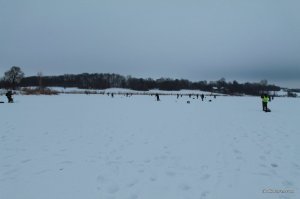 IMG_5028.JPG