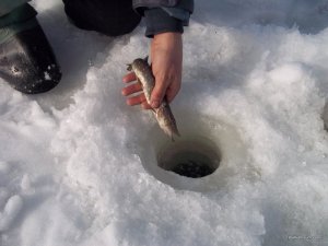 100_6294.JPG