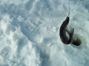 100_6291.JPG