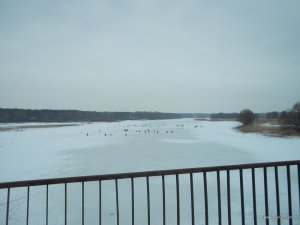 100_6295.JPG