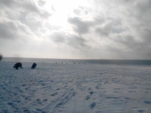2017219135248.jpg