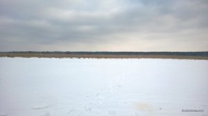 WP_20170220_005[1].jpg