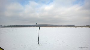 WP_20170220_006[1].jpg