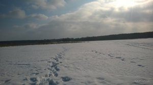WP_20170220_017[1].jpg