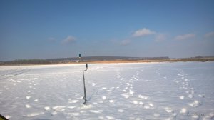 WP_20170220_018[1].jpg