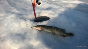 WP_20170220_020[1].jpg