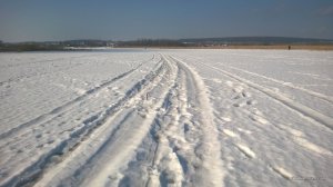 WP_20170220_023[1].jpg