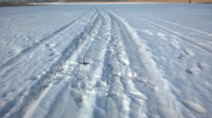 WP_20170220_024[1].jpg