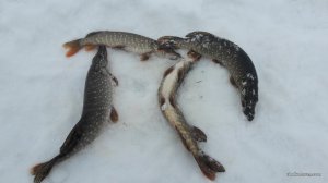 20170220_100846.jpg