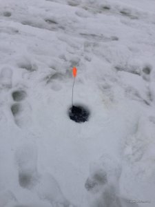 IMG_0772.JPG
