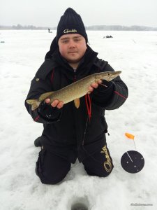 20170221_080458.jpg