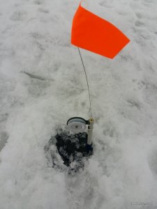 20170221_075654.jpg