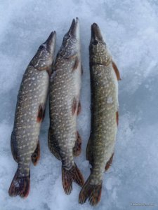 20170221_165139.jpg