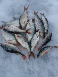20170221_165220.jpg