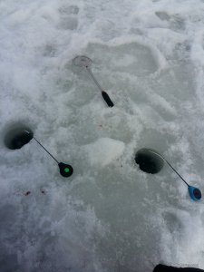 20170221_103200.jpg