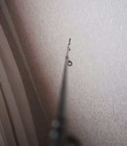 DSC_0545.JPG