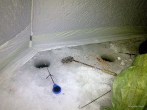 IMG_20170217_043156.jpg