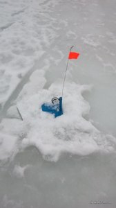 IMG_20170222_091040.jpg