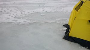 IMG_20170222_143359.jpg