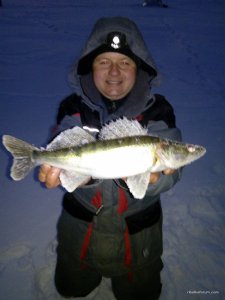 IMG_20170217_061158.jpg