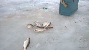 WP_20170222_08_22_04_Pro.jpg