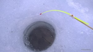 WP_20170222_11_37_23_Pro.jpg