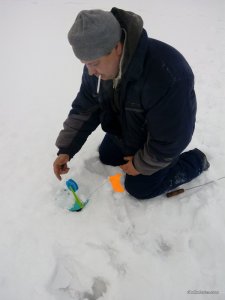 IMG_20170217_074947.jpg