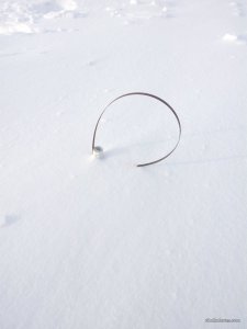 IMG_20170217_145239.jpg