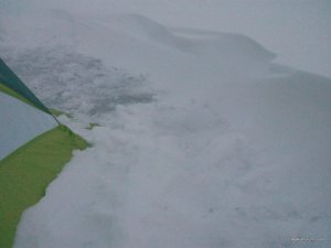 IMG_20170217_171209.jpg